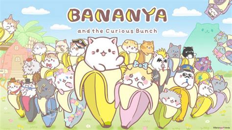 gucci banana cat|gucci bananya crunchyroll.